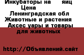 Инкубаторы на 700 яиц › Цена ­ 15 000 - Ленинградская обл. Животные и растения » Аксесcуары и товары для животных   